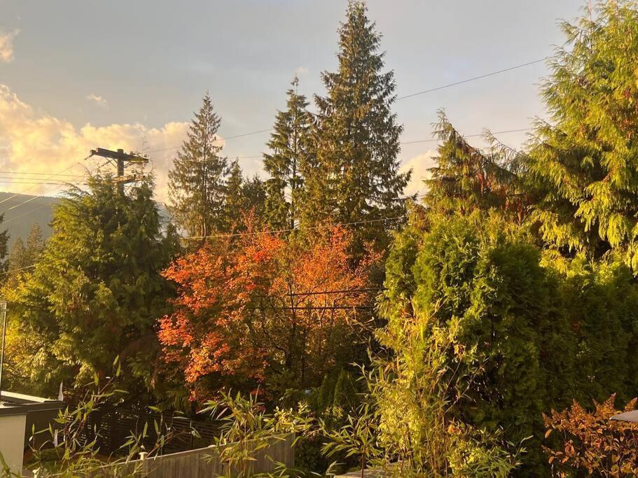 'Canyon Heights' Retreat Βόρειο Βανκούβερ Εξωτερικό φωτογραφία